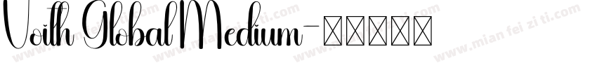 Voith Global Medium字体转换